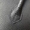 Birkin 25 Black Togo Leather with Lizard Skin Trim, Gold Hardware